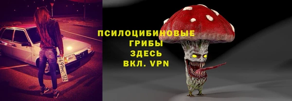 Альфа ПВП Абаза