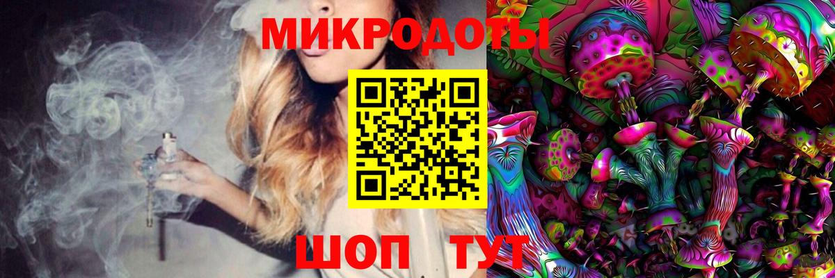 Галлюциногенные грибы Psilocybine cubensis Клинцы