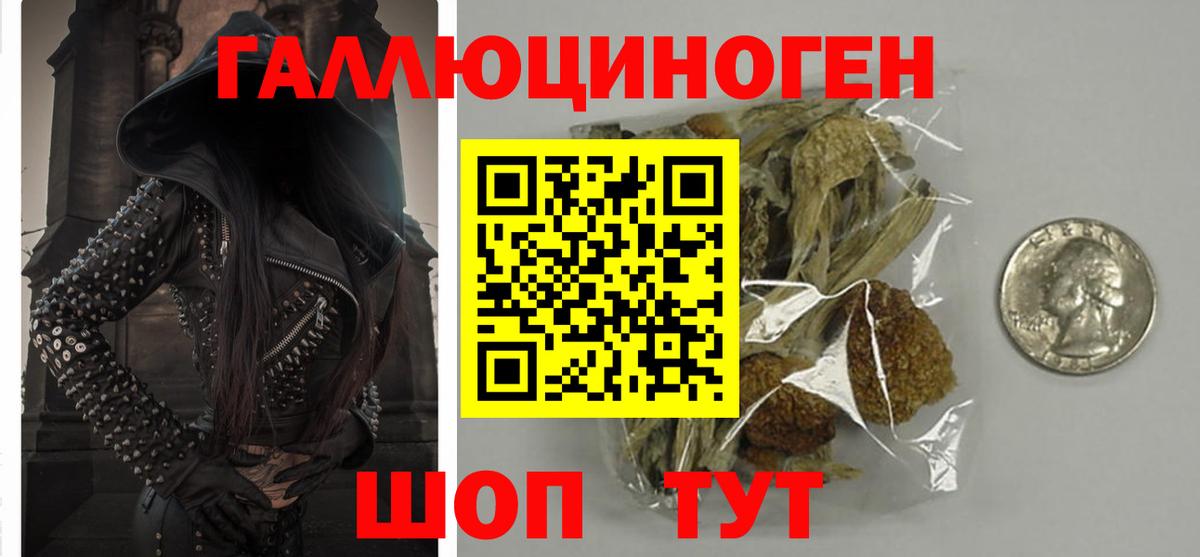 Псилоцибиновые грибы Psilocybe  хочу   Клинцы  Галлюциногенные грибы Magic Shrooms  Вход с VPN 